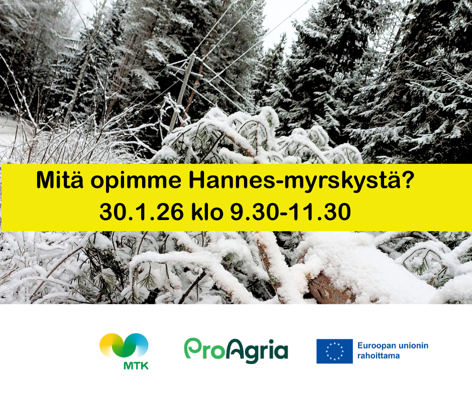 Mitä opimme Hannes-myrskystä? Pahimmillaan useita kymmeniä tunteja kestäneet sähkökatkot ja muut myrskytuhot aiheuttivat ongelmia maatiloille eri puolilla Suomea.
